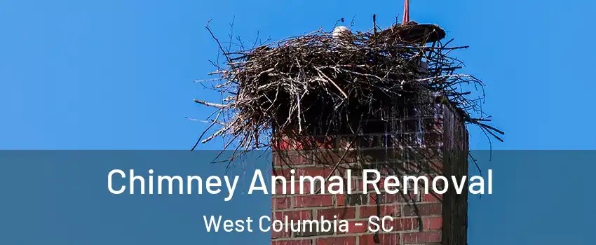Chimney Animal Removal West Columbia - SC