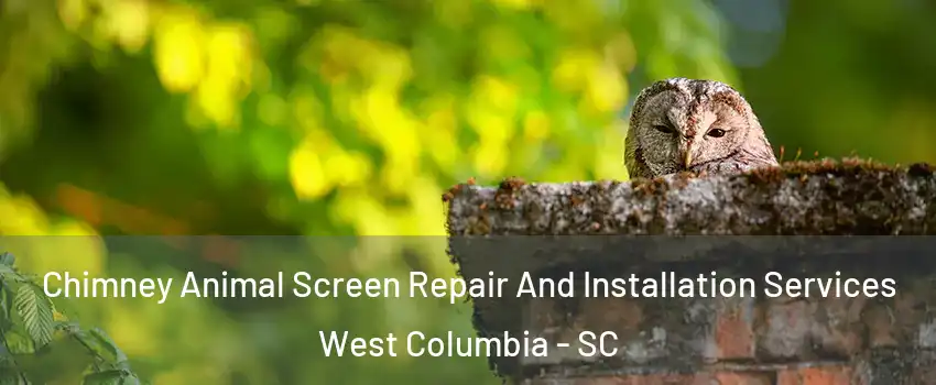  Chimney Animal Screen Repair And Installation Services West Columbia - SC