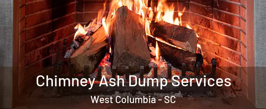  Chimney Ash Dump Services West Columbia - SC