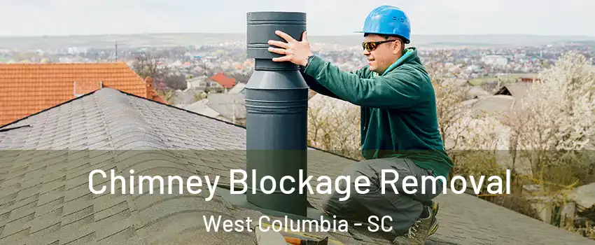  Chimney Blockage Removal West Columbia - SC