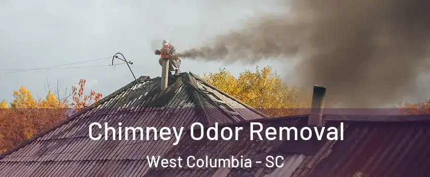  Chimney Odor Removal West Columbia - SC