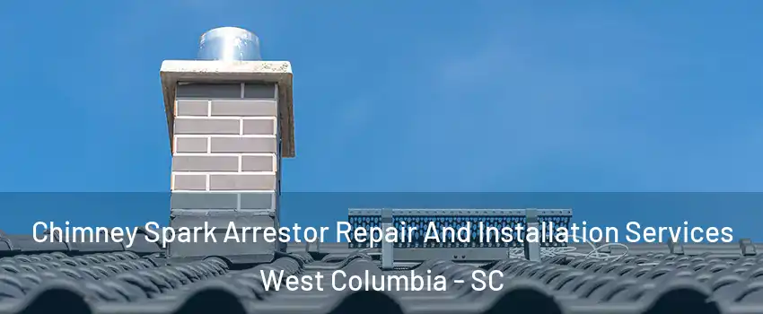  Chimney Spark Arrestor Repair And Installation Services West Columbia - SC