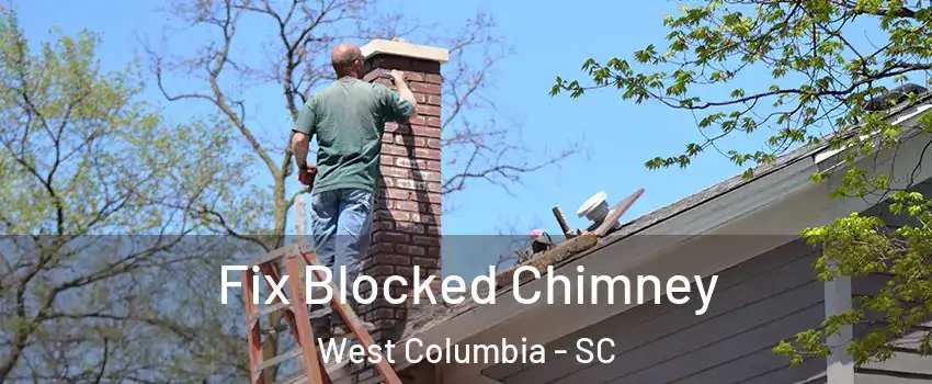  Fix Blocked Chimney West Columbia - SC