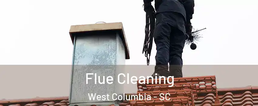  Flue Cleaning West Columbia - SC