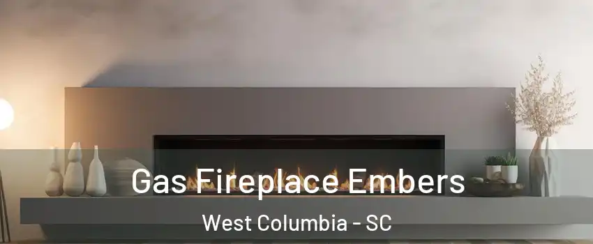  Gas Fireplace Embers West Columbia - SC