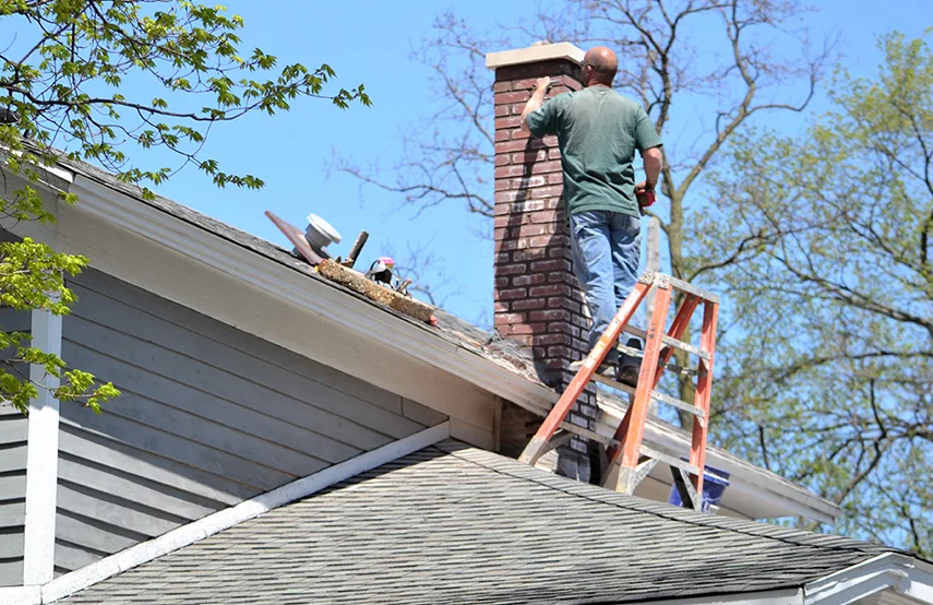 Chimney & Fireplace Inspections Services in West Columbia, SC