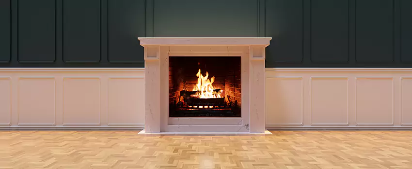 Napoleon Electric Fireplaces Inspection Service in West Columbia, South Carolina