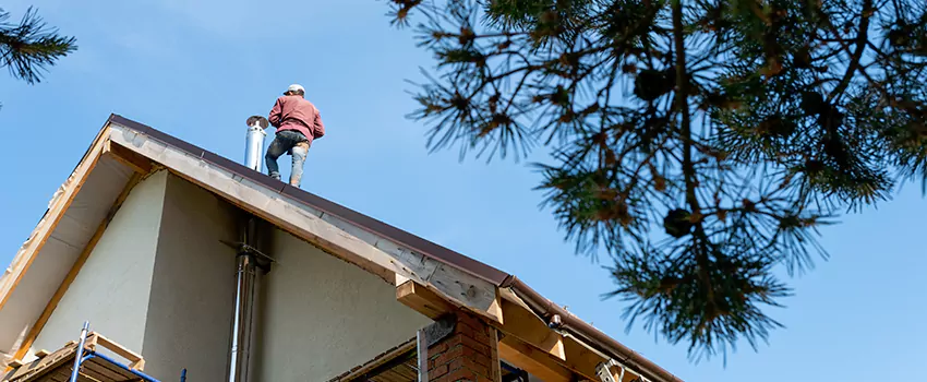 Birds Removal Contractors from Chimney in West Columbia, SC