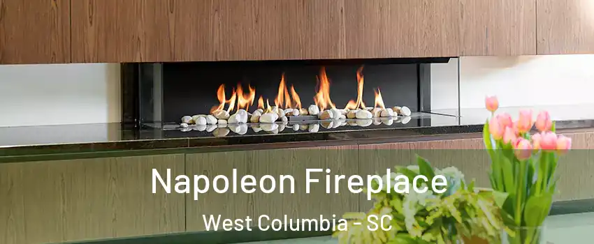  Napoleon Fireplace West Columbia - SC
